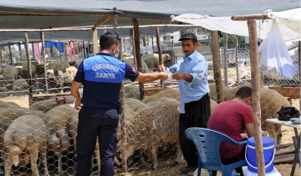 ÇUKUROVA’DA KURBAN SATIŞ VE KESİM YERLERİ BELİRLENDİ