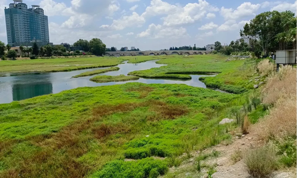 DSİ’DEN SEYHAN NEHRİ AÇIKLAMASI