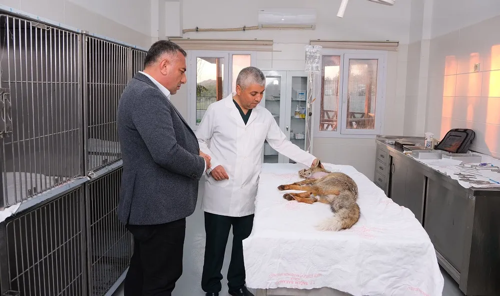 BARINAKTA TEDAVİ ALTINA ALINDI