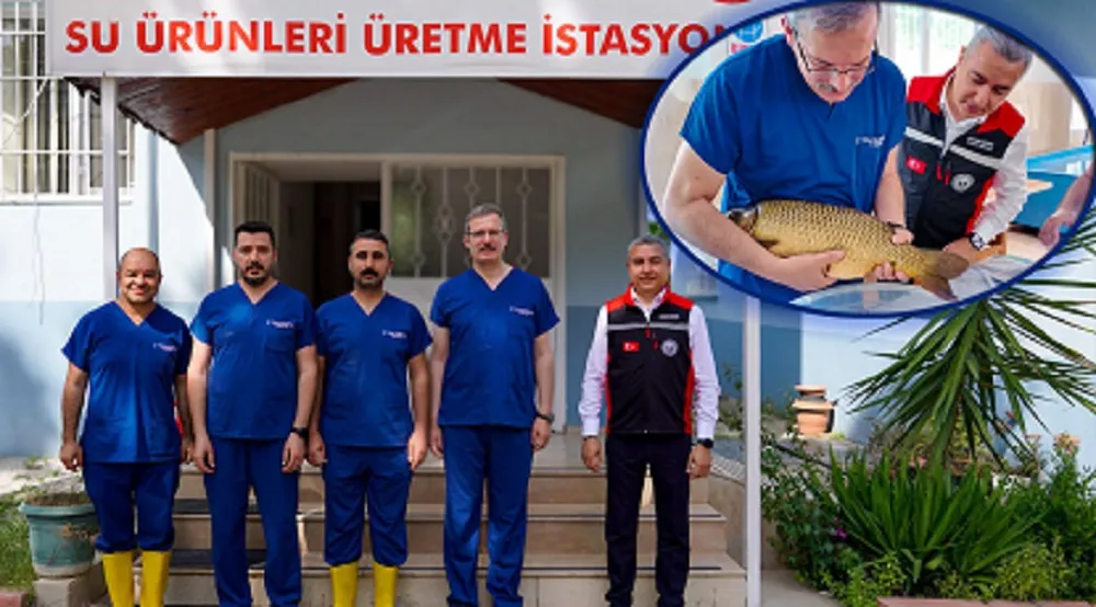 HEDEF 12 MİLYONUN ÜZERİNDE YAVRU SAZAN ÜRETMEK