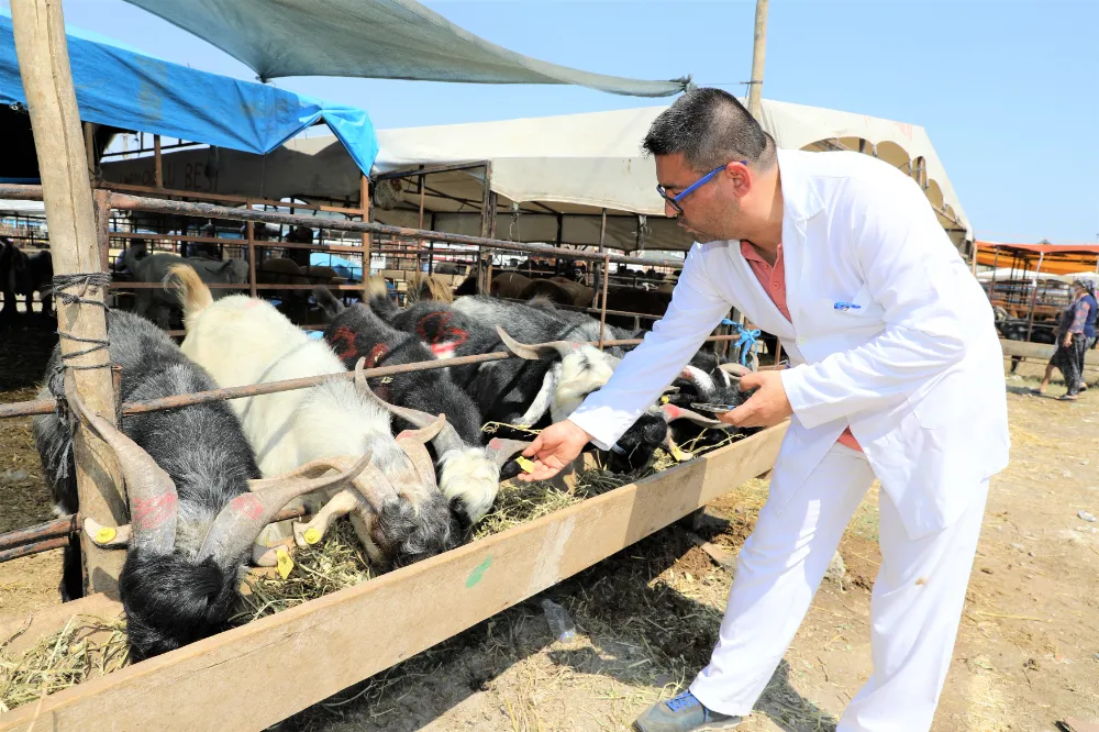 VETERİNER HEKİMLER ODASI BAŞKANI KÖSE