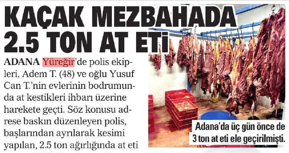 KAÇAK MEZBAHADA 2.5 TON AT ETİ