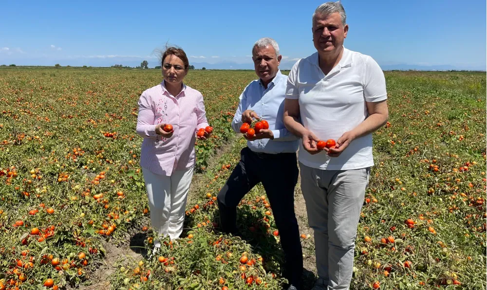 CHP  ADANA MİLLETVEKİLLERİ TARLADA!