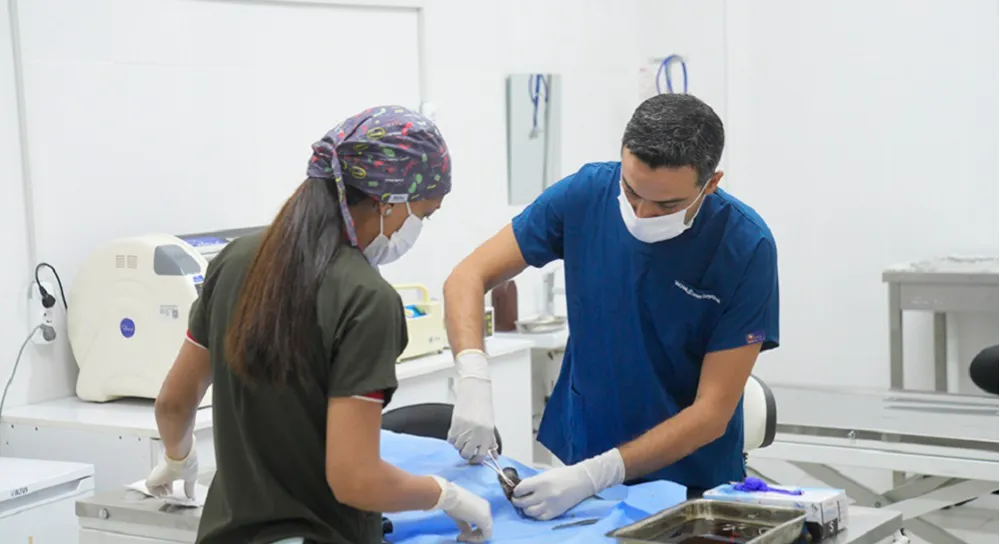SEYHAN’DA KISIRLAŞTIRMA SEFERBERLİĞİ