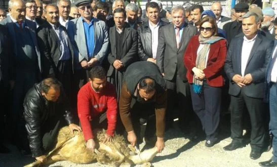 Karaisalı’da Kurban Kesilerek Karşılandı