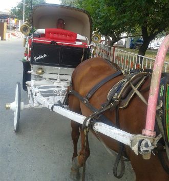 yumurtalık_fayton_yasagi