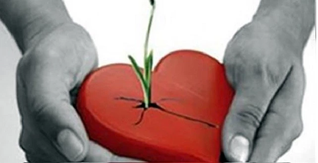 28 Bin Kişi Organ Bekliyor