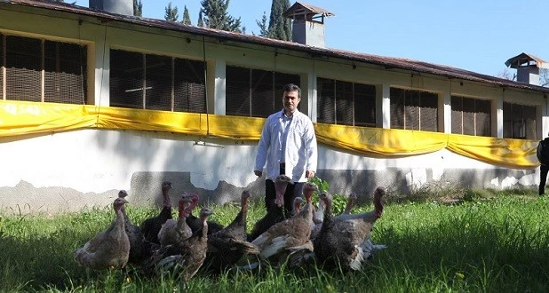 Yılda Sadece 500 Gram Tüketiyoruz