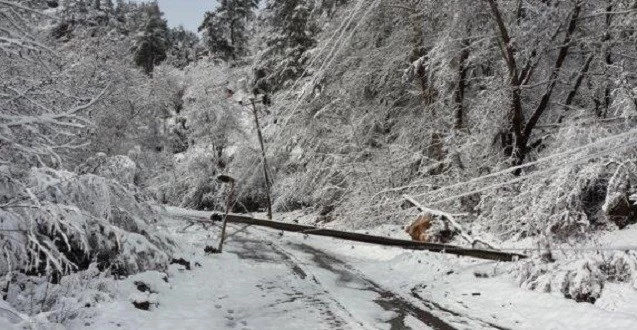 Elektrik Faturalarının Sorumlusu Bulundu