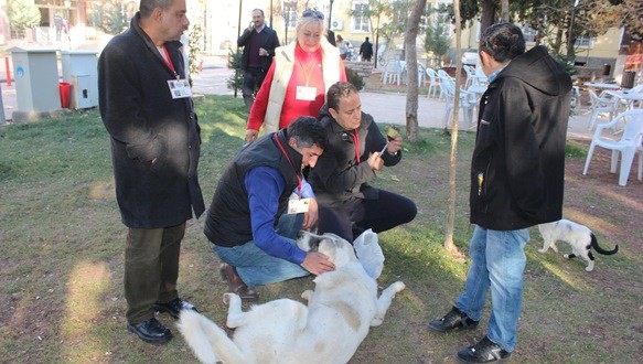 besni_hayvan_barinak (2)