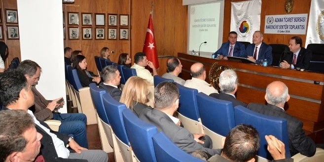  “Rusya Krizinden Narenciye olumsuz etkilendi”