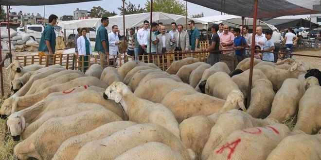 “KURBAN BAYRAMINDA ÇEVREYE DUYARLI OLALIM”