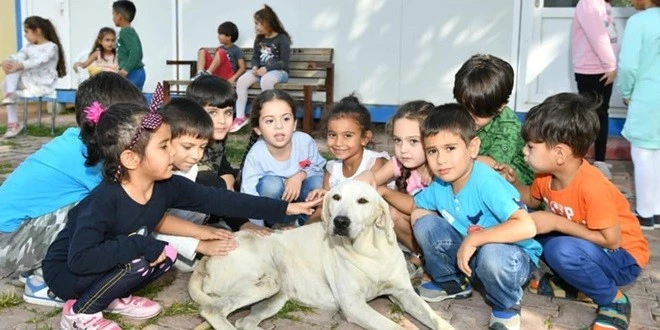 “HER OKULA BİR KÖPEK”