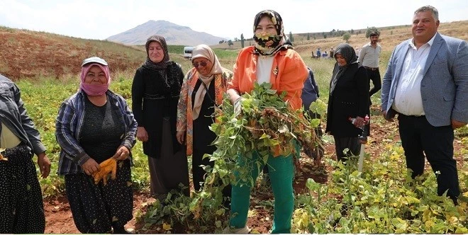 <strong>KARAMIK: HER İLÇENİN SORUNLARINI MASAYA YATIRIYORUZ</strong>