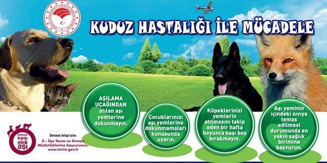 TİLKİLERE KUDUZA KARŞI HAVADAN AŞI YEMİ